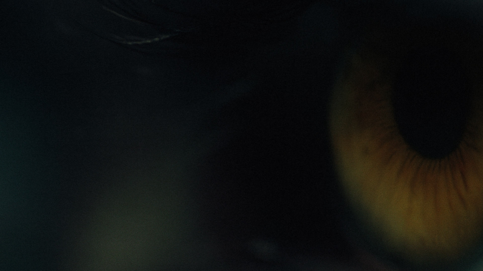 Woody Film - Shot OCCHIO